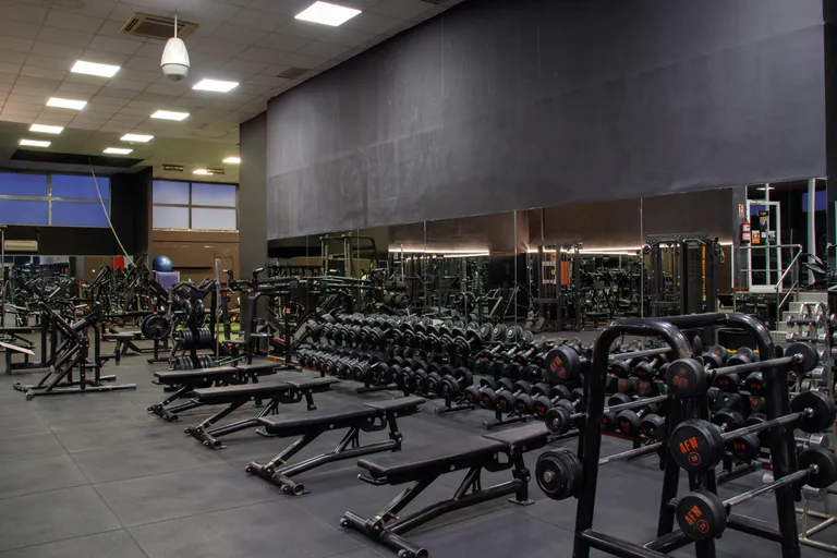 Zona de peso libre con mancuernas y bancos en Palladium Zaragoza